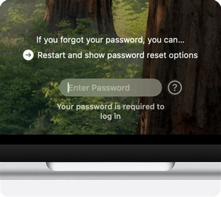 Can you reset a computer if you forgot the password?