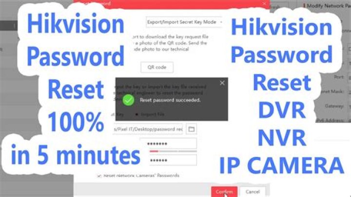 How do I reset my Cobra DVR password?