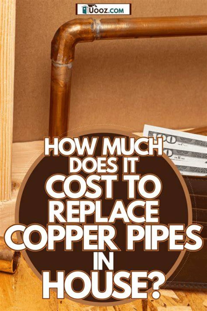How much does it cost to replace a section of copper pipe?