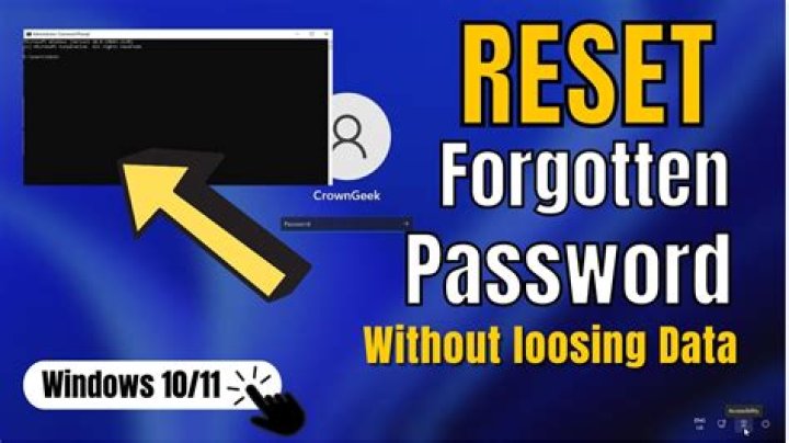 What should I do if I forget the NVR password?