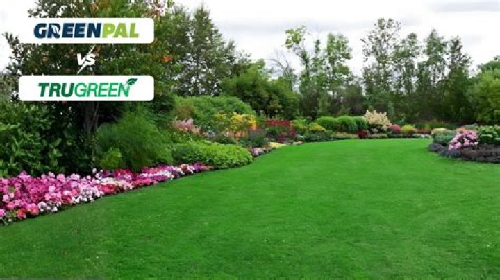 Which is better TruGreen or Lawn Doctor?